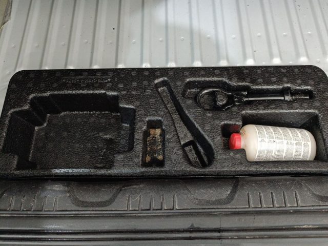 FORD EcoSport usata, con Interni in pelle