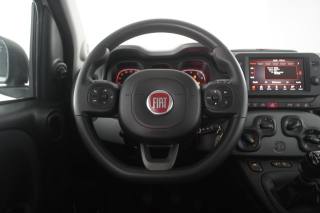 FIAT Panda usata 11