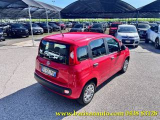 FIAT Panda usata, con Airbag Passeggero