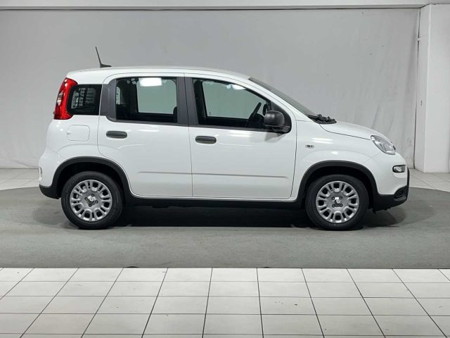 FIAT Panda usata, con Climatizzatore