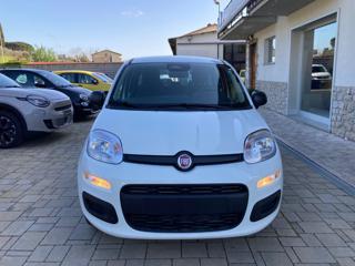 FIAT Panda usata, con Alzacristalli elettrici