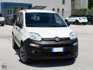 FIAT Panda usata, con Marmitta catalitica