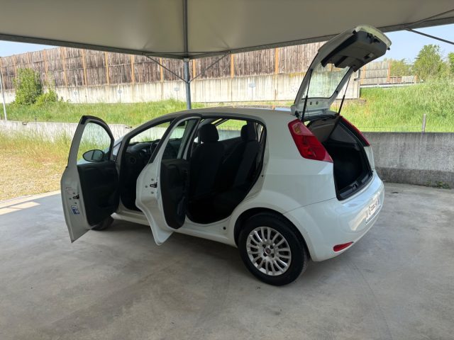 FIAT Punto usata 39
