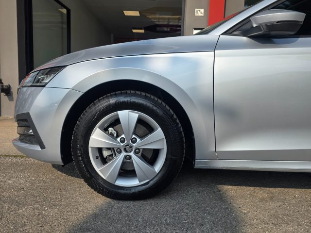 SKODA Octavia usata, con Servosterzo