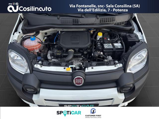 FIAT Panda usata, con USB