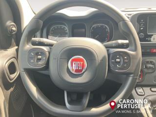 FIAT Panda usata, con Servosterzo