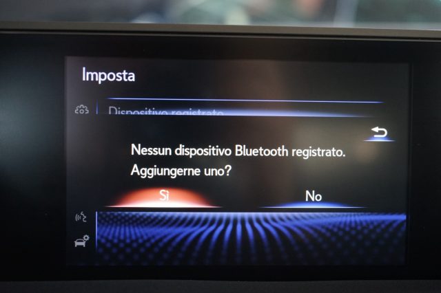 LEXUS UX 250h usata, con Fendinebbia