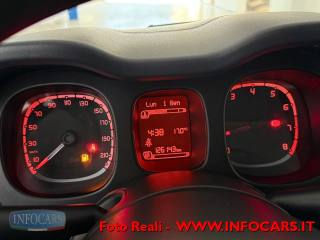 FIAT Panda usata, con Trazione integrale