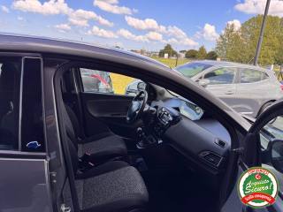 LANCIA Ypsilon usata, con Fendinebbia