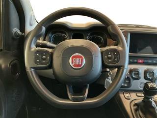FIAT Panda usata 15