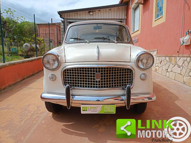 FIAT 1100 usata 4