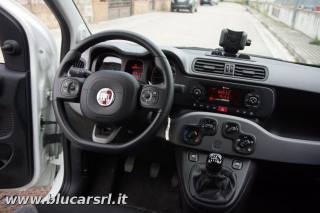 FIAT Panda usata, con Climatizzatore