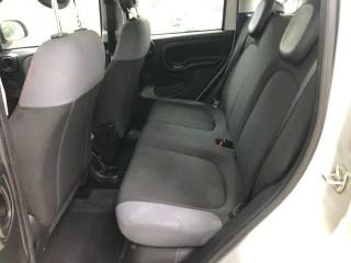 FIAT Panda usata, con Airbag testa