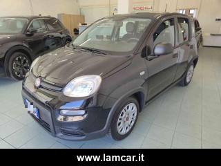 FIAT Panda usata, con Antifurto