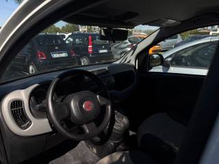 FIAT Panda usata, con Climatizzatore
