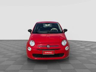 FIAT 500 usata 7