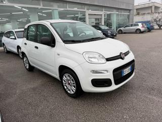 FIAT Panda usata, con Alzacristalli elettrici