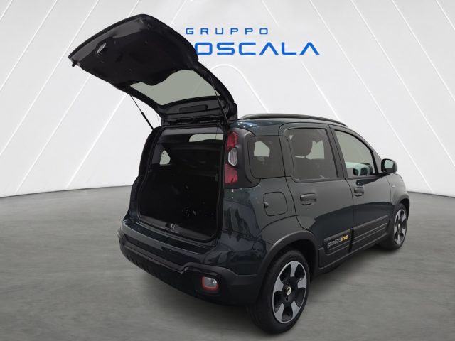 FIAT Pandina usata, con Bracciolo