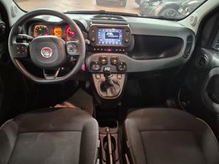 FIAT Panda Cross usata, con Controllo automatico clima