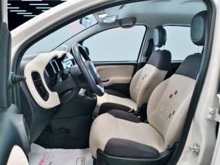 FIAT Panda usata 13