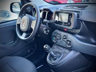 FIAT Panda usata 23