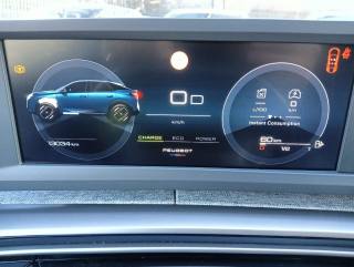 PEUGEOT 3008 usata, con Vetri oscurati