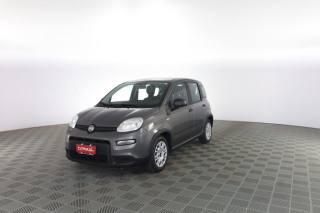 FIAT Panda usata 6