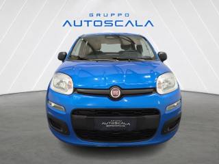 FIAT New Panda usata, con Airbag