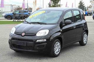 FIAT Panda 1.0 FireFly S&S Hybrid ICON