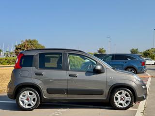 FIAT Panda usata, con Antifurto