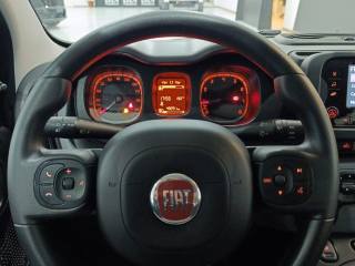 FIAT Panda usata 16