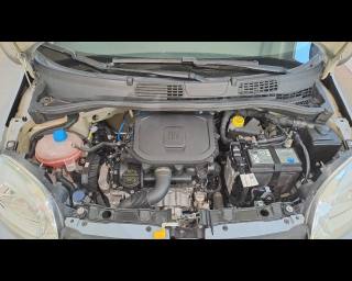 FIAT New Panda usata 19