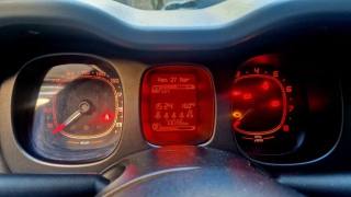 FIAT Panda usata, con Fendinebbia