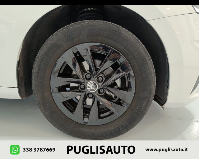 SKODA Fabia usata 23