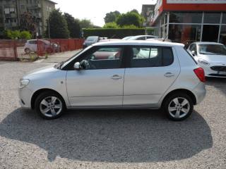 SKODA Fabia usata 62