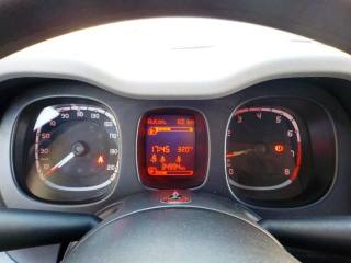 FIAT Panda usata, con Immobilizzatore elettronico