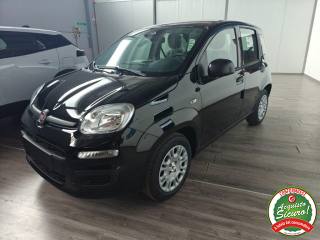 FIAT Pandina usata, con Airbag