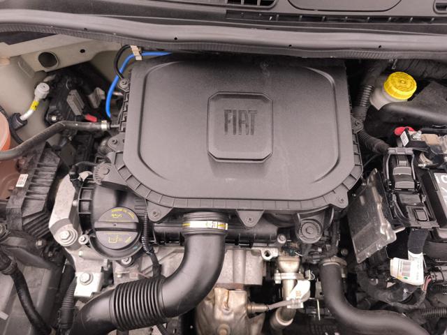 FIAT Panda usata 25