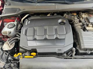 SEAT Ibiza usata, con Cruise Control