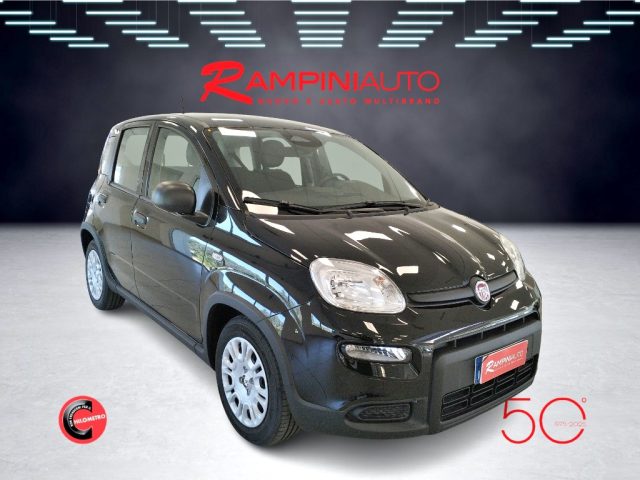 FIAT Panda usata 3