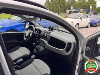 FIAT Panda usata, con USB