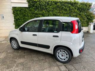 FIAT Panda usata 5
