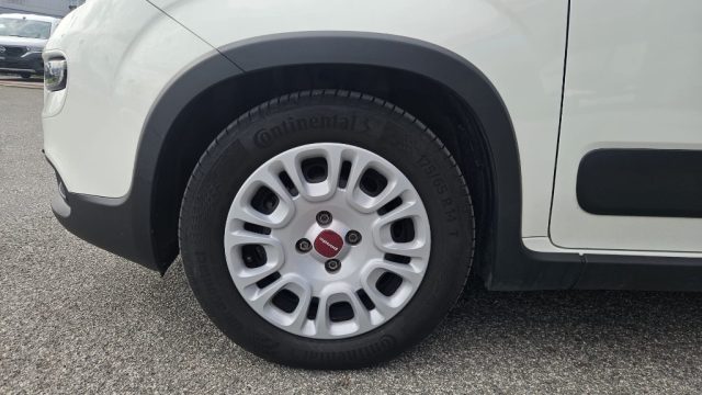 FIAT Panda usata 16