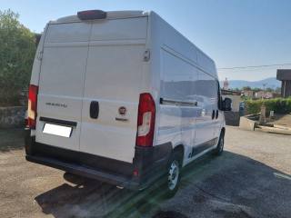 FIAT Ducato usata, con Servosterzo