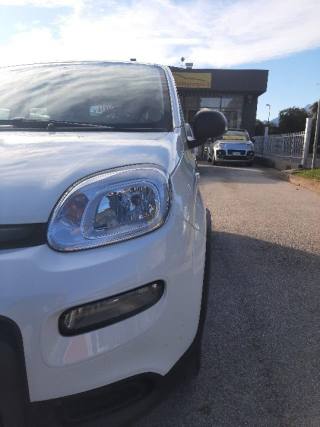 FIAT Panda usata, con Airbag Passeggero