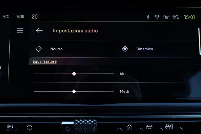 DS AUTOMOBILES DS 7 usata 79