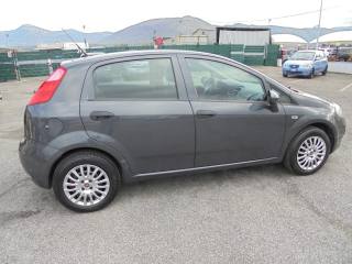 FIAT Punto usata 13