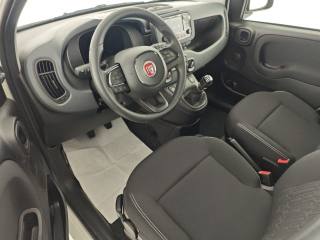 FIAT Panda usata, con Airbag testa