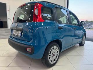 FIAT Panda usata 29