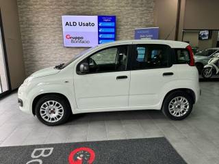 FIAT Panda usata, con Climatizzatore